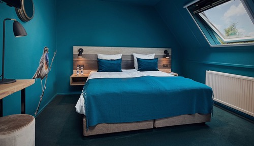 Habitación Confort con 1 cama doble o 2 individuales