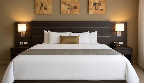 Habitación Premium, 1 cama de matrimonio grande (Business)