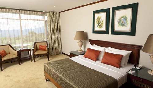 Habitación Deluxe con 1 cama doble o 2 individuales, 1 habitación, vistas a la montaña
