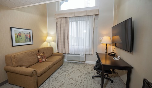 Suite de lujo, 1 cama de matrimonio grande, no fumadores (Presidential)