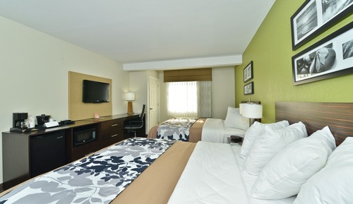 Habitación estándar, 2 camas de matrimonio