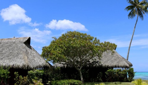 Bungalow Deluxe, vistas a la laguna