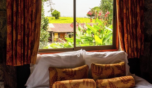 Habitación estándar, 1 cama de matrimonio, bañera, vistas al jardín