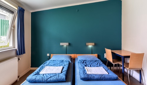 Habitación estándar con 2 camas individuales, baño privado (Bunk beds)