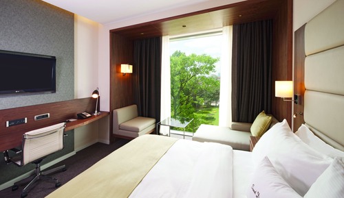  King Accessible Guest Room 