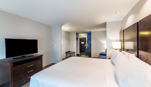 Suite, 1 cama de matrimonio grande con sofá cama