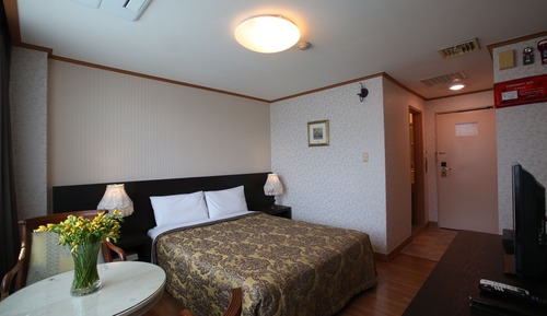 Habitación estándar doble, 1 cama doble
