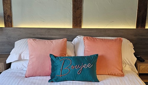 Habitación Deluxe doble, 1 cama doble