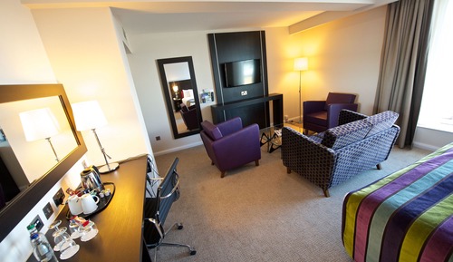 Habitación Premium, 1 cama de matrimonio grande (Airport View)