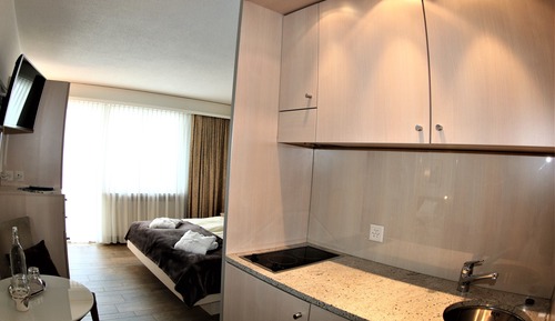 Habitación doble, cocina básica, vistas a la montaña (Balcony, Room for 2 Persons)