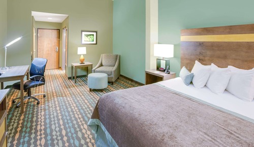 Suite estudio Deluxe, 1 cama de matrimonio grande, no fumadores