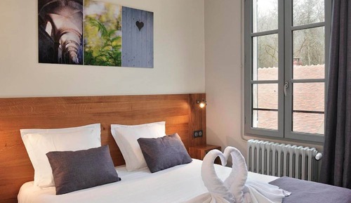 Suite junior, 1 cama de matrimonio con sofá cama