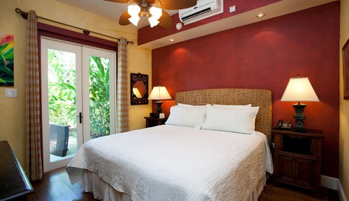 Suite (Coconut)