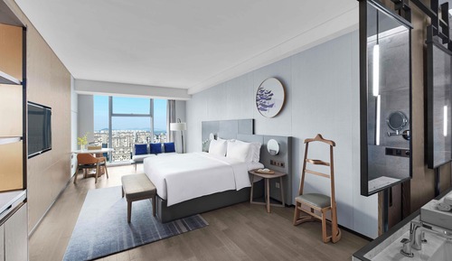 Habitación Premium, 1 cama de matrimonio grande