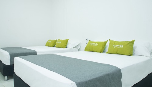 Habitación cuádruple estándar