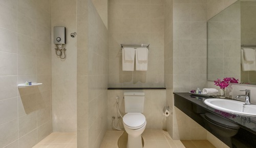 Habitación estándar con 2 camas individuales, vistas al río