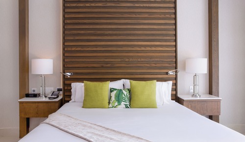 Junior Suite 1 King Bed