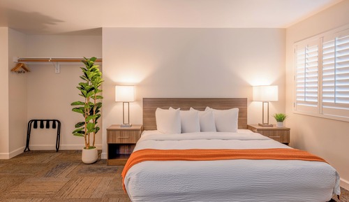 Habitación Deluxe, 1 cama de matrimonio grande