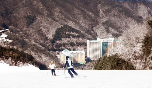 [15th WinterMemory]Silver Suite(Kitchen/Park View/Bed)-SnowyLand or SkiLift 3hour for 2people+1 Wine