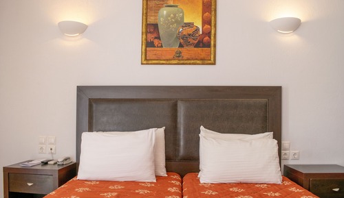 Habitación estándar con 1 cama doble o 2 individuales