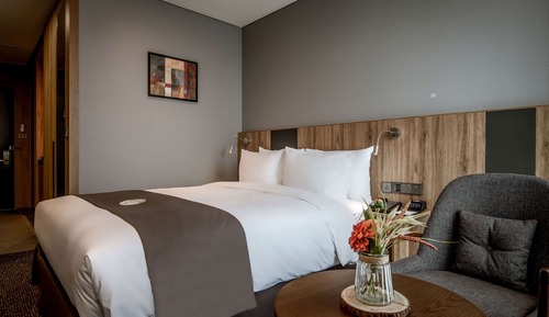 Habitación estándar, 1 cama doble, no fumadores, frigorífico