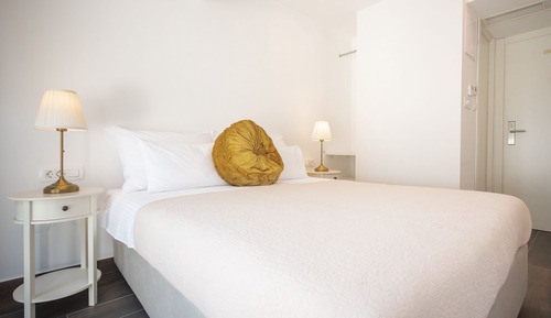 Habitación clásica con 1 cama doble o 2 individuales