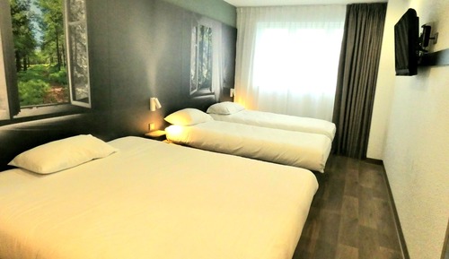 Habitación cuádruple