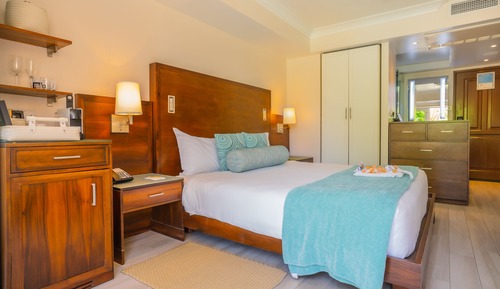 Habitación estándar, vistas al jardín