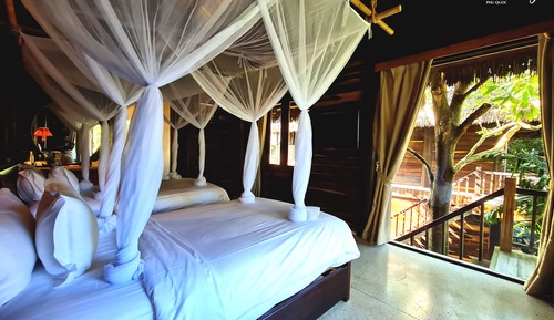 Habitación Premium (Jungle Twin)