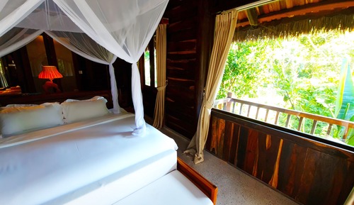 Habitación (Jungle)