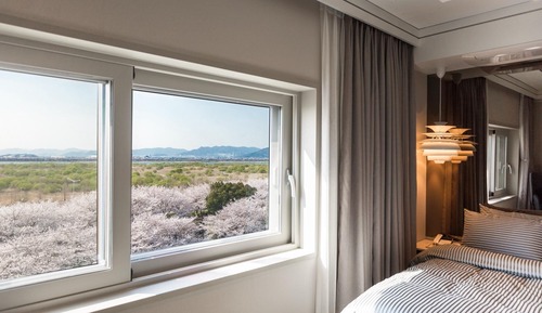 Room (Deluxe / Foot Spa / River &amp; Park )