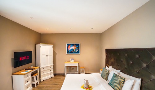 Suite estudio (Family Suite)