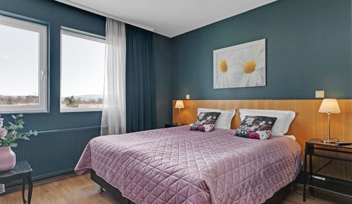 Habitación Confort con 1 cama doble o 2 individuales