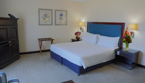 Habitación de lujo