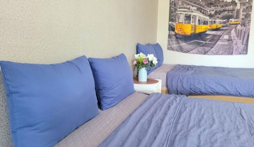 Room (Hibiscus (remodeled in June 2024))