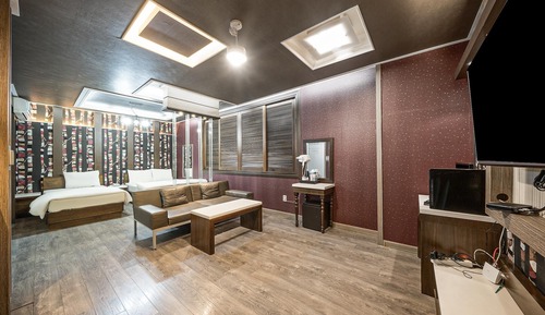 Room (VIP-twin)