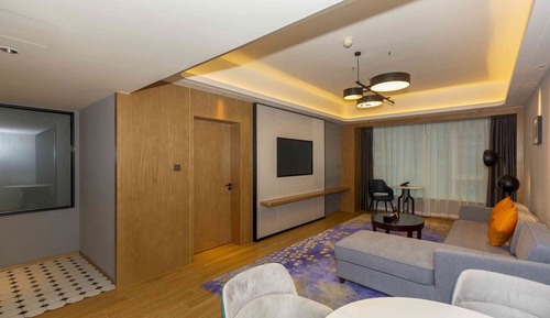 Suite, 1 habitación (Living Area)