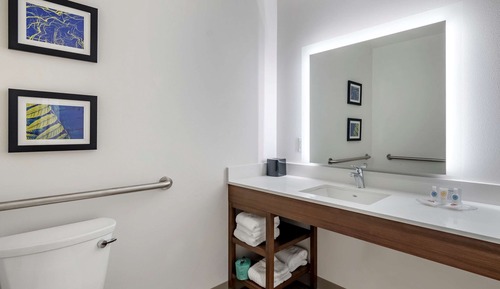 Suite, 1 cama de matrimonio grande, accesible para personas con discapacidad (Roll-In Shower)