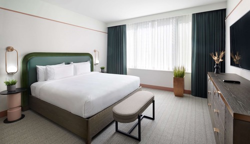 Suite, 1 cama de matrimonio grande con sofá cama (Revel)