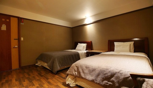 Room (Deluxe twin (air conditioner replaced)