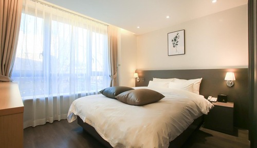 Room (Standard Double C (Late Check in))