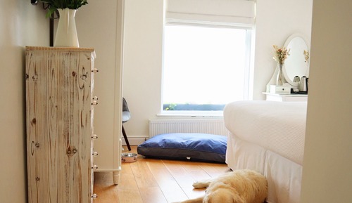 Habitación con 1 cama doble o 2 individuales, baño privado (Pet Friendly Double/Twin)