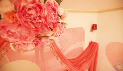Room (Princess Room (On-site payment only))