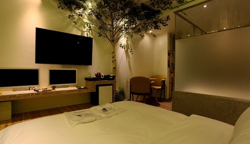Room (Deluxe room)