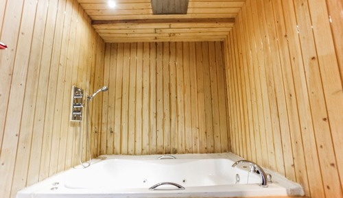 Room (Sauna Room (Netflix Available))
