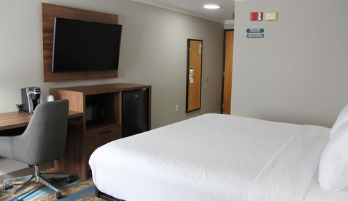 Habitación, 1 cama de matrimonio, accesible para personas con discapacidad (Mobility/Roll-In Shower)