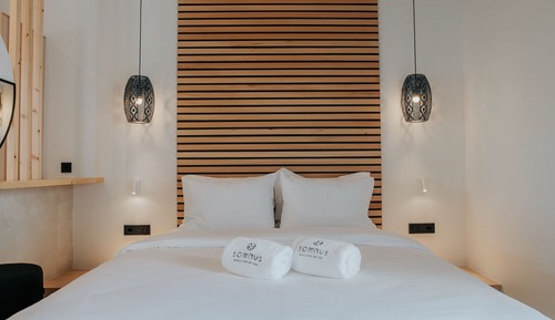 Habitación Deluxe con 2 camas individuales