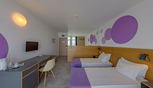 Habitación ejecutiva con 2 camas individuales