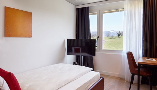 Habitación Business individual, 1 cama individual grande