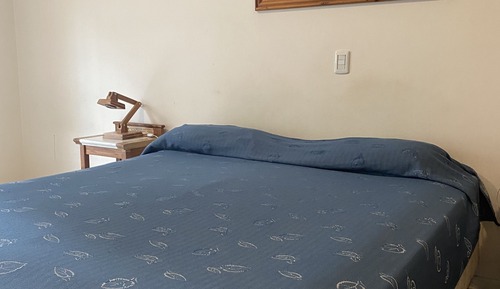 Apartamento Business